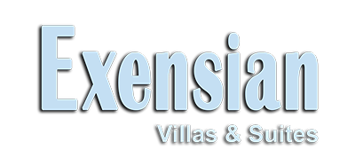 exensian logo